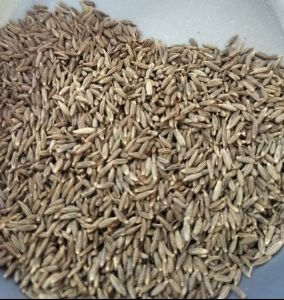 Brown Organic Appu Spices Cumin Seeds