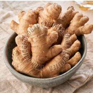 Fresh Ginger, Packaging Size : 4kg Mesh Bags