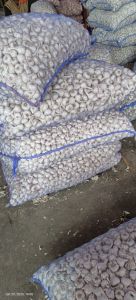 Fresh Garlic, Color : White 20 to 35+, Grade : Aaaa