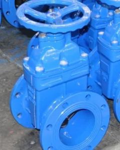 Nrs Cast Iron Gate Valve