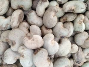 Tanzania Raw Cashew