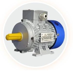 IE2 2 Pole 3 Phase Induction Motor