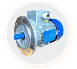 IE3 2 Pole Three Phase Induction Motor