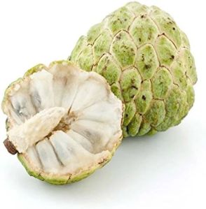 Fresh Custard Apple, Color : Green, Packaging Type : Carton, Taste : Sweet