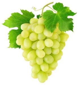 Fresh Green Grapes, Packaging Type : Carton, Taste : Sour, Sweet For Human Consumption