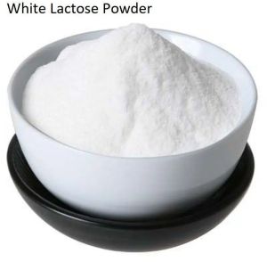 Lactose Powder, Color : White, Packaging Type : Bag For Pharma