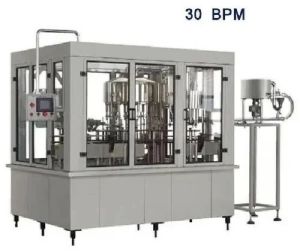 Automatic Electric Stainless Steel 30 BPM Mineral Water Plant