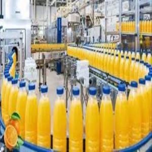 Fruit Juice Processing Plant, Automation Grade : Semi-automatic