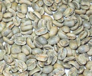 Arabica Plantation PB Coffee Beans