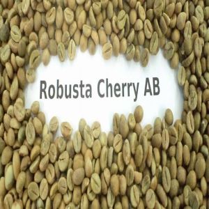 Natural Robusta Cherry AB Coffee Beans, Color : Light Green