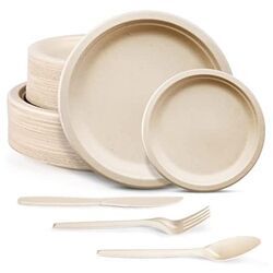 Wood-free Paper Disposable Tableware