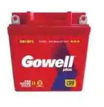 Gowell Plus Two Wheeler Battery