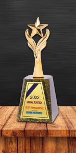 CA-7004 Metal Corporate Award