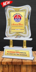 W-6884 Wooden Award