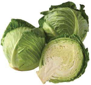 Fresh Cabbage, Color : Green, Packaging Type : Loose