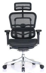 Adjustable Ergohuman High Back Black Mesh Chair With Headrest & Flexible Lumbar Support