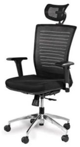 Ergonomic High Back Mesh Chair With 2D Adjustable Arms &AMP;AMP; Lumbar Support