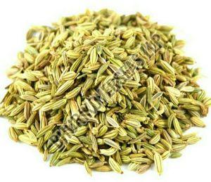 Dried Fennel Seeds, Color : Green, Grade Standard : Food Grade, Specialities : Rich In Taste, Pure