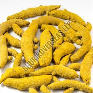 Turmeric Finger, Color : Yellow