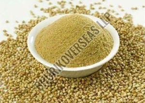 Green Coriander Powder 100 % For Spices