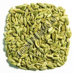 Natural Fennel Seeds, Color : Green, Grade Standard : Food Grade, Specialities : Pure, Hygenic