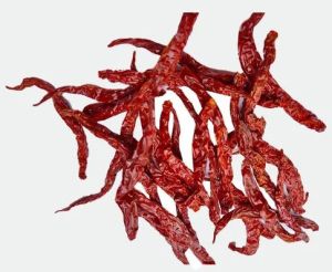 5531 Syngenta Dry Red Chilli, Form : Whole, Packaging Type : Packet