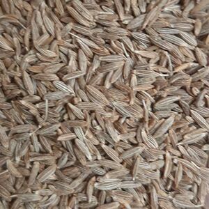 Natural Cumin Seed, Color : Brown, Dark Brown