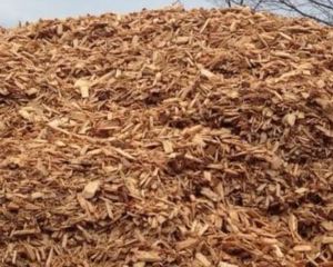 Wood Chips