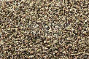 Natural Carom Seed, Certification : FSSAI Certified, Purity : 99% For Spices, Cooking