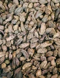 Dry Bold Black Cardamom 10%, Cardamom Size Available : 8 Mm