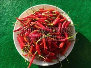 Fresh Bird Eye Chilli, Color : Red, Quality Available : A Grade, Packaging Size : 25-50kg