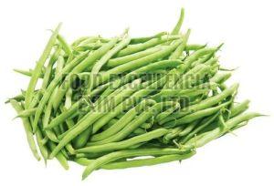 Natural Fresh Green French Beans For Use In Cooking