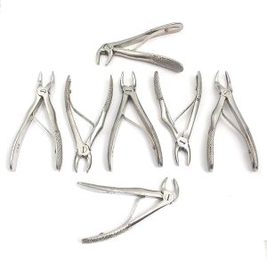 Polished Stainless Steel Dentus Pedo Extraction Forcep Set