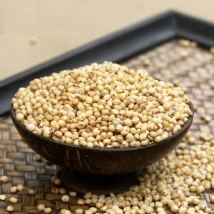 Organic Sorghum Millet Seeds, Color : Creamy