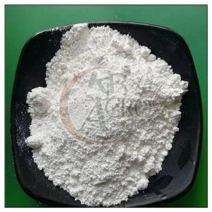 Exemestane Powder