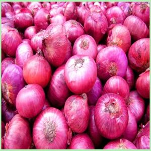 A Grade Red Onion