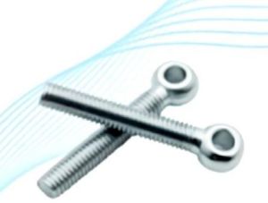 Stainless Steel Eye Bolts