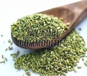 Green Fennel Seeds, Packaging Type : Packet, Specialities : Fresh For Human Consumption