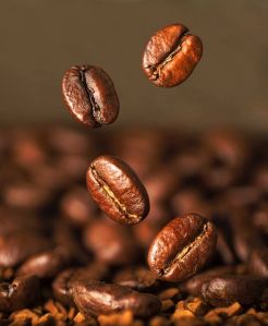 Arabica Coffee Beans