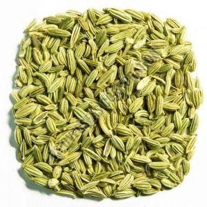 Organic Raw Big Fennel Seeds, Color : Green, Grade Standard : Food Grade For Cooking