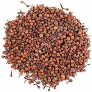 Organic Nagkesar Seeds, Color : Brown Dried, Purity : 100%