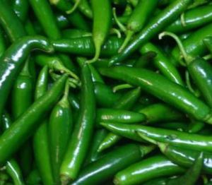 Natural Fresh Green Chilli, Packaging Size : 20Kg for Cooking