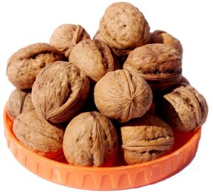 Chandler Shelled Walnut, Purity : 98%, Packaging Type : Plastic Bag, Packaging Size : 5-50kg