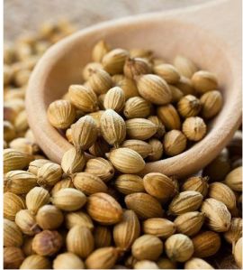 Coriander Seeds, Grade Standard : Food Grade, Packaging Type : Plastic Bag, Packaging Size : 5-25kg