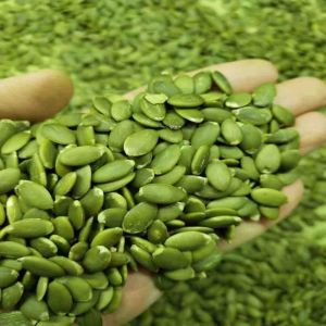 Pumpkin Seeds, Packaging Type : Plastic Packet, Packaging Size : 5-25kg For Human Consumption