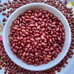 Red Kidney Beans, Packaging Type : PP Bag, Speciality : Gluten Free, Purity : 99.9%