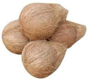 Natural Semi Husked Coconut