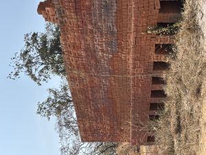 Clay Interlocking Bricks