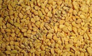 fenugreek seed