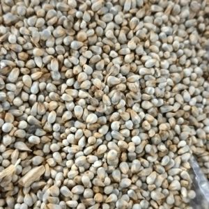 Pearl Millets 9.71